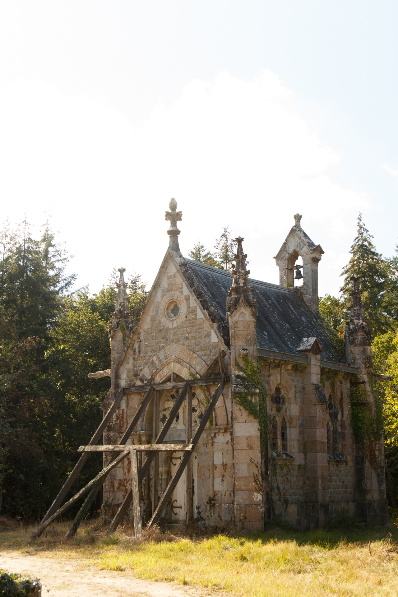 L' Oeil Noir Photographie